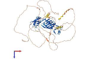 AlphaFold protein structure predicition of Human Recombinant CPEB3 Protein, UniprotID Q8NE35