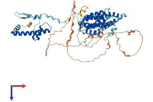 AlphaFold protein structure predicition of Mouse Recombinant Taf6l Protein, UniprotID Q8R2K4
