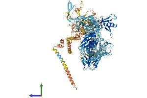AlphaFold protein structure predicition of Human Recombinant ERVK-7 Protein, UniprotID P63135