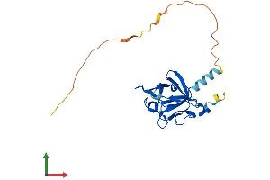 AlphaFold protein structure predicition of Human Recombinant FGF20 Protein, UniprotID Q9NP95