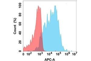 Flow cytometry analysis with Anti-BAFF (DM181) on Expi293 cells transfected with human BAFF (Blue histogram) or Expi293 transfected with irrelevant protein (Red histogram).
