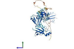 AlphaFold protein structure predicition of Human Recombinant PDZK1 Protein, UniprotID Q5T2W1