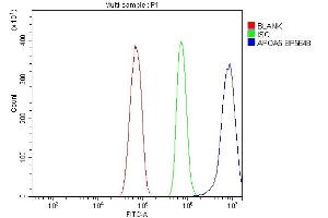 Flow Cytometry analysis of RH35 cells using anti-Apolipoprotein A V/APOA5 antibody (ABIN7602720). (APOA5 anticorps  (AA 99-217))