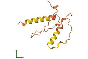 AlphaFold protein structure predicition of Human Recombinant LINC00597 Protein, UniprotID Q9H2U6