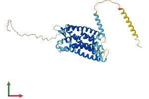 AlphaFold protein structure predicition of Mouse Recombinant Ackr2 Protein, UniprotID O08707