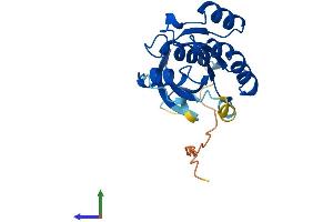AlphaFold protein structure predicition of Mouse Recombinant Rab1b Protein, UniprotID Q9D1G1