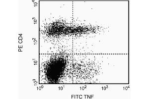 Expression of TNF by stimulated CD4+ and CD4- BALB/c spleen cells.