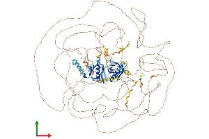 AlphaFold protein structure predicition of Human Recombinant IRS4 Protein, UniprotID O14654