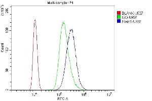 Flow Cytometry analysis of U937 cells using anti-IRAK antibody (ABIN5693122).