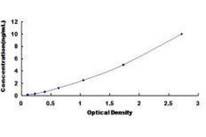 Neuropeptide Y Receptor Y2 (NPY2R) ELISA Kit