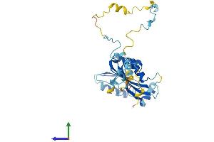 AlphaFold protein structure predicition of Mouse Recombinant Ciapin1 Protein, UniprotID Q8WTY4