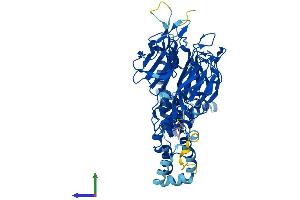AlphaFold protein structure predicition of Human Recombinant GAN Protein, UniprotID Q9H2C0
