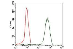 Flow cytometric analysis of HeLa cells using EIF4B mouse mAb (green) and negative control (red). (EIF4B anticorps)