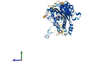 AlphaFold protein structure predicition of Mouse Recombinant Cnot6 Protein, UniprotID Q8K3P5