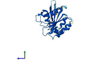 AlphaFold protein structure predicition of Human Recombinant ARL9 Protein, UniprotID Q6T311