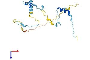 AlphaFold protein structure predicition of Human Recombinant KIAA1143 Protein, UniprotID Q96AT1