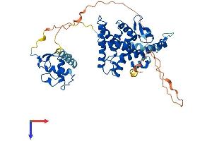 AlphaFold protein structure predicition of Mouse Recombinant Nr1h3 Protein, UniprotID Q9Z0Y9