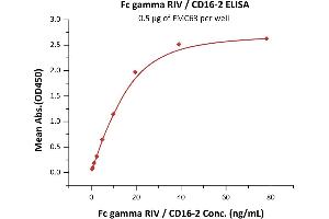 Immobilized FMC63 at 5 μg/mL (100 μL/well) can bind Biotinylated Mouse Fc gamma RIV, His,Avitag (BLI verified) (ABIN6810039,ABIN6938878) with a linear range of 0.