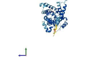 AlphaFold protein structure predicition of Human Recombinant SLC25A43 Protein, UniprotID Q8WUT9
