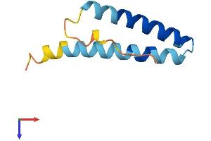 AlphaFold protein structure predicition of Mouse Recombinant Ss18l2 Protein, UniprotID Q9D174