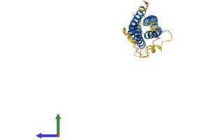 AlphaFold protein structure predicition of Mouse Recombinant Nkain2 Protein, UniprotID Q4PNJ2