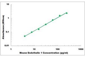 Representative Standard Curve (Endothelin 1 Kit ELISA)
