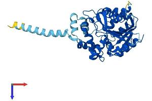 AlphaFold protein structure predicition of Human Recombinant MEST Protein, UniprotID Q5EB52
