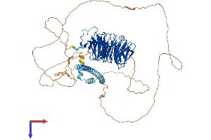 AlphaFold protein structure predicition of Human Recombinant TLE1 Protein, UniprotID Q04724