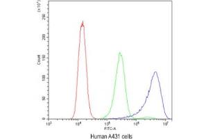 Flow cytometry testing of human A431 cells with Ataxin-2 antibody at 1ug/10^6 cells (blocked with goat sera) (Ataxin 2 anticorps  (C-Term))