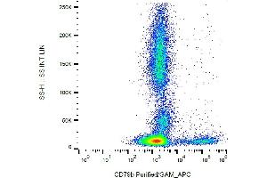 Flow cytometry analysis (surface staining) of CD79b in human peripheral blood with anti-CD79b (CB3-1) purified / GAM-APC. (CD79b anticorps)