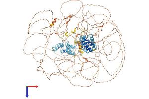 AlphaFold protein structure predicition of Mouse Recombinant Gprasp1 Protein, UniprotID Q5U4C1