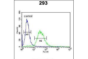 Flow cytometric analysis of 293 cells (right histogram) compared to a negative control cell (left histogram). (Coagulation Factor X anticorps  (C-Term))