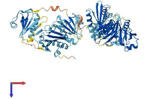 AlphaFold protein structure predicition of Mouse Recombinant Scin Protein, UniprotID Q60604
