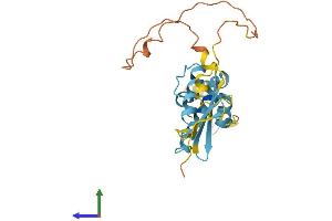 AlphaFold protein structure predicition of Human Recombinant DNAJB8 Protein, UniprotID Q8NHS0