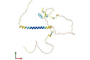 AlphaFold protein structure predicition of Human Recombinant PMEPA1 Protein, UniprotID Q969W9