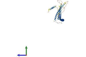 AlphaFold protein structure predicition of Mouse Recombinant Cep57 Protein, UniprotID Q8CEE0