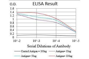 Black line: Control Antigen (100 ng), Purple line: Antigen(10 ng), Blue line: Antigen (50 ng), Red line: Antigen (100 ng),