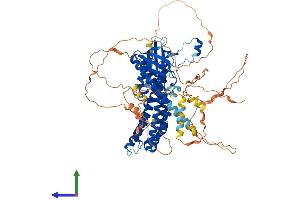 AlphaFold protein structure predicition of Human Recombinant PLEKHG6 Protein, UniprotID Q3KR16