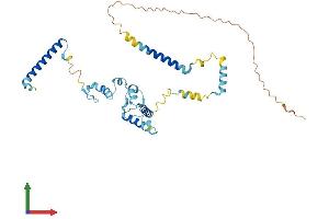 AlphaFold protein structure predicition of Mouse Recombinant Snrnp48 Protein, UniprotID Q9D361