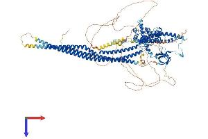 AlphaFold protein structure predicition of Human Recombinant SRGAP1 Protein, UniprotID Q7Z6B7