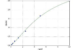 Heat shock factor protein 2 (HSF2) ELISA Kit
