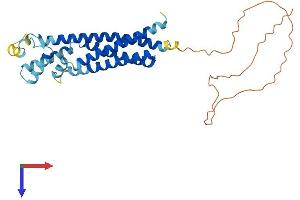 AlphaFold protein structure predicition of Human Recombinant TSPAN32 Protein, UniprotID Q96QS1