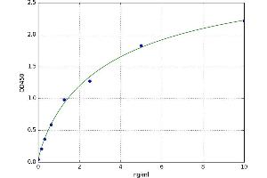 A typical standard curve (LILRB2 Kit ELISA)