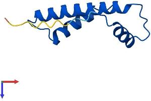 AlphaFold protein structure predicition of Mouse Recombinant Cenpw Protein, UniprotID Q3URR0