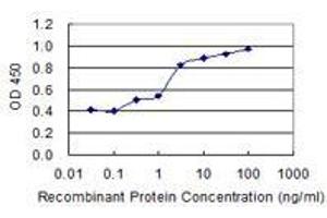 Detection limit for recombinant GST tagged LXN is 0. (Latexin anticorps  (AA 151-222))