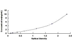 Typical standard curve (Keratin 2 Kit ELISA)