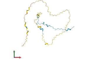 AlphaFold protein structure predicition of Human Recombinant COPRS Protein, UniprotID Q9NQ92