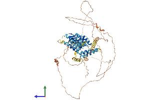 AlphaFold protein structure predicition of Human Recombinant SP110 Protein, UniprotID Q9HB58