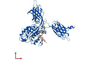 AlphaFold protein structure predicition of Human Recombinant CPNE2 Protein, UniprotID Q96FN4