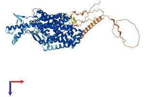 AlphaFold protein structure predicition of Human Recombinant SLC6A17 Protein, UniprotID Q9H1V8